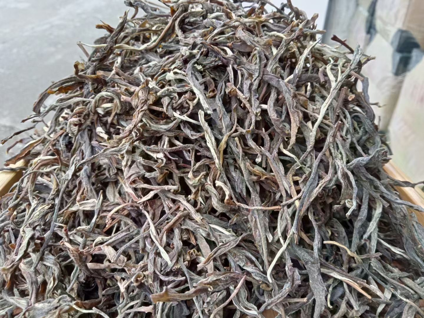 坝糯古树 坝糯古树茶,坝糯是"藤条茶之王".