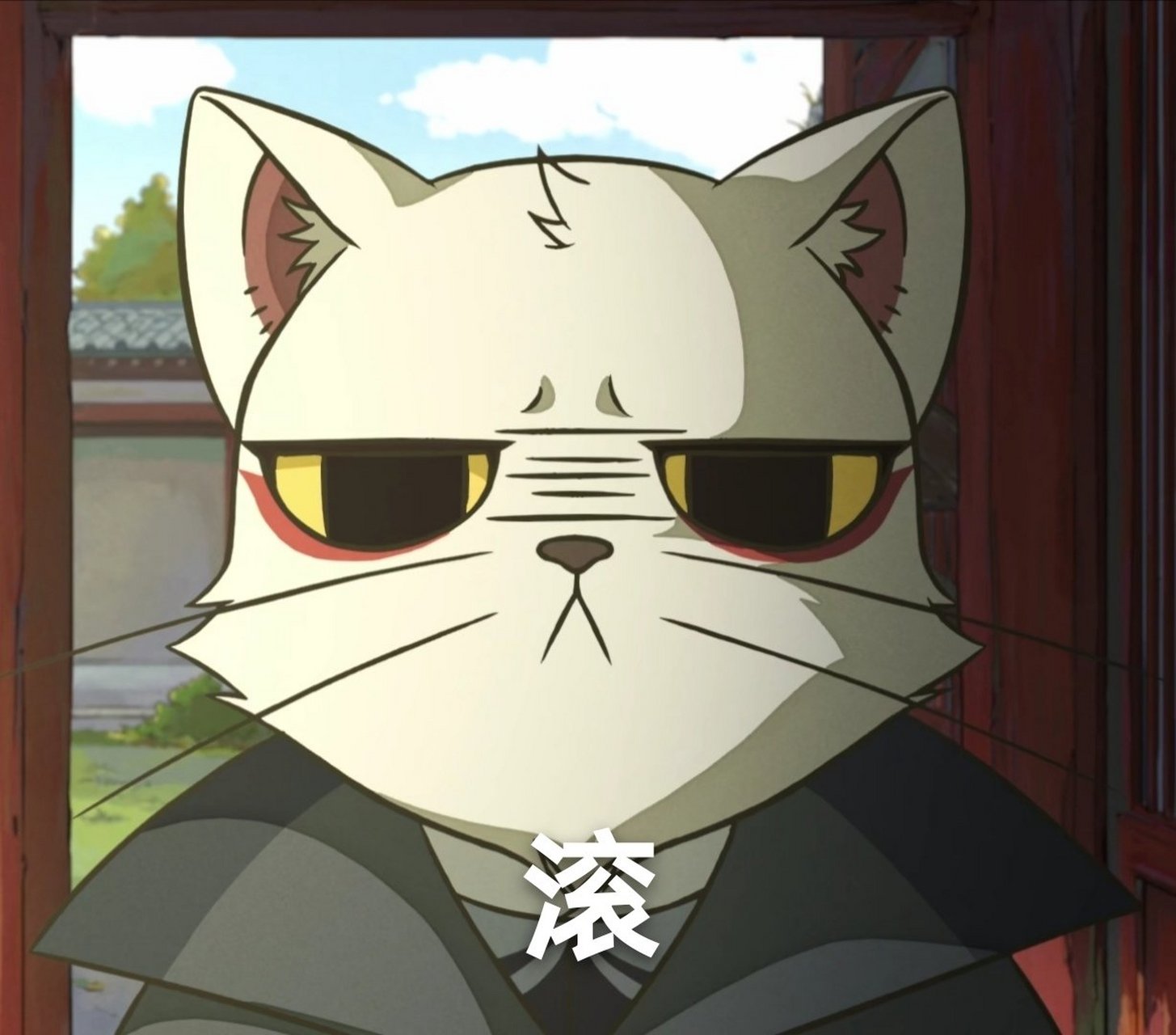 猫爷的表情包来了,谁说大狸子不能可爱呢? 老规矩,图抱走,留下赞.