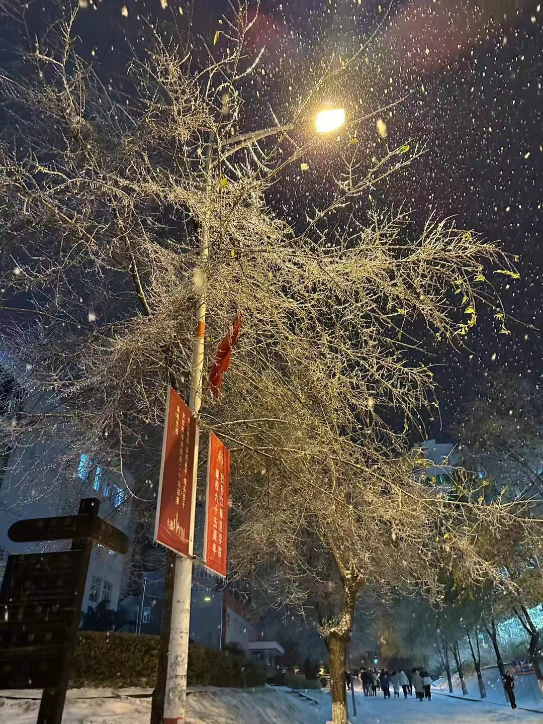 真实城市雪景图片图片