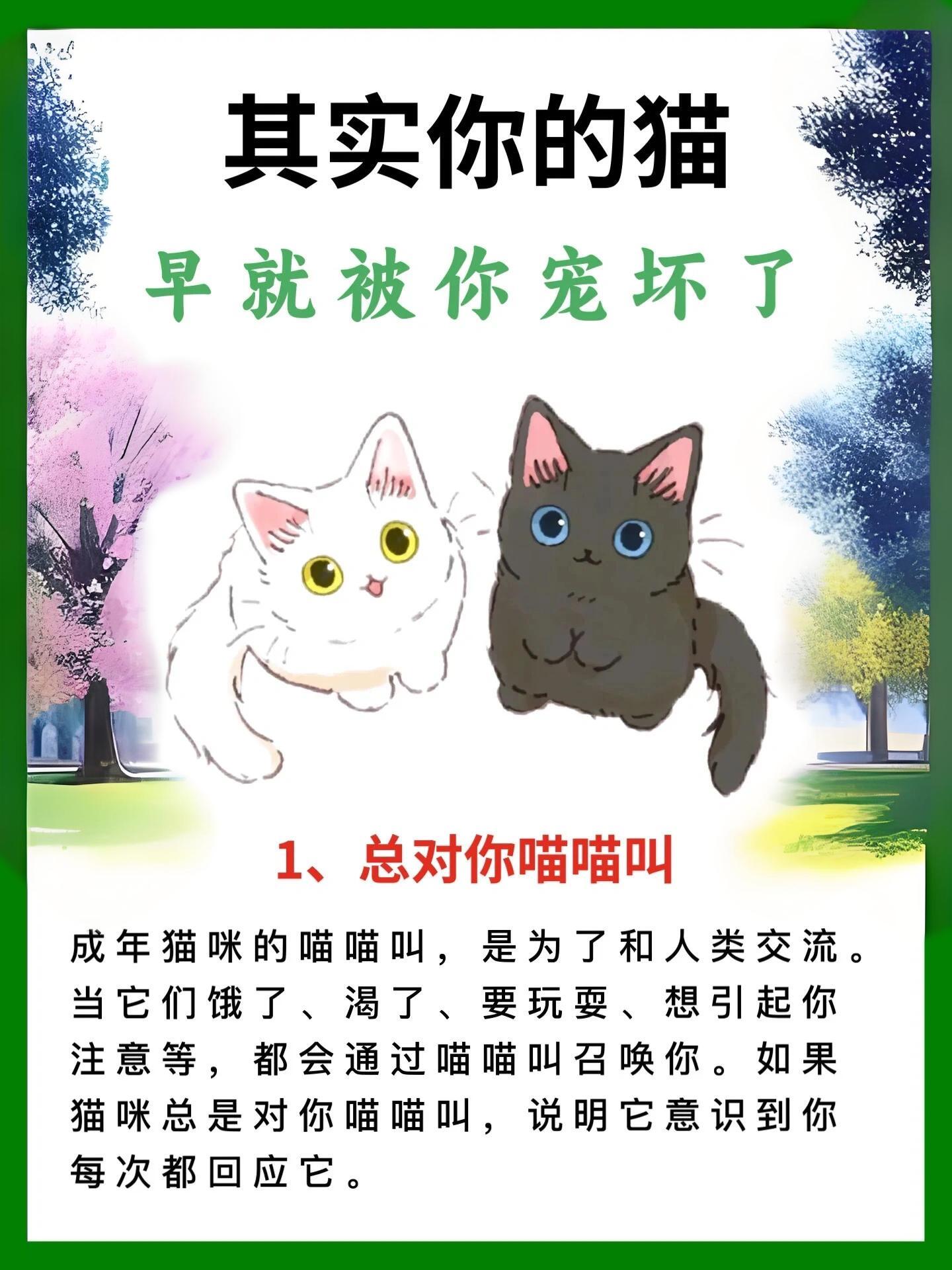 看看你家猫咪有这8种表现吗,如果有,说明你是一个非常合格的铲屎官