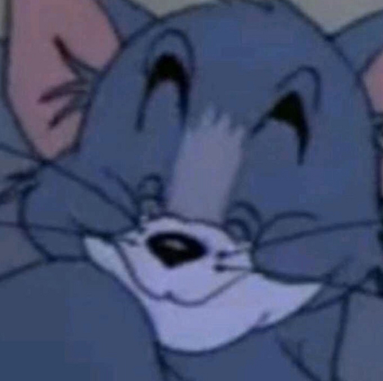 关于猫和老鼠的情头