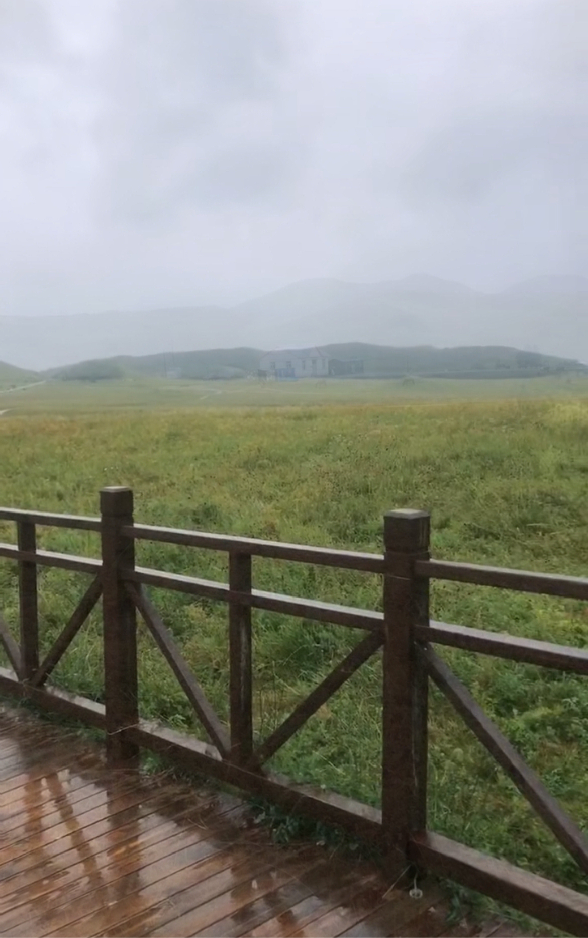 草原下雨图片真实图片