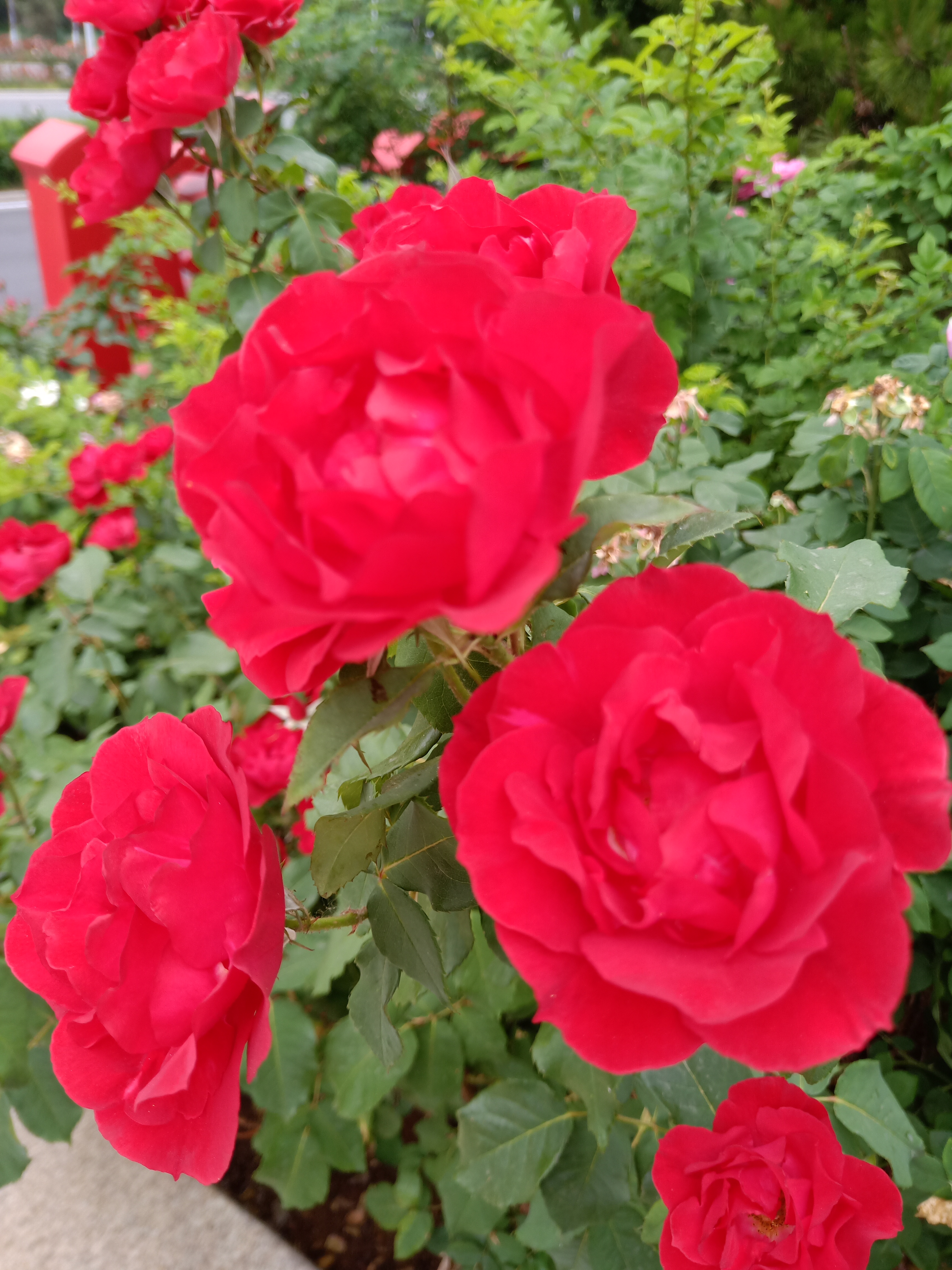 接下来,让我们一起探讨属兔人在 2024 年可能会经历的精彩瞬间.