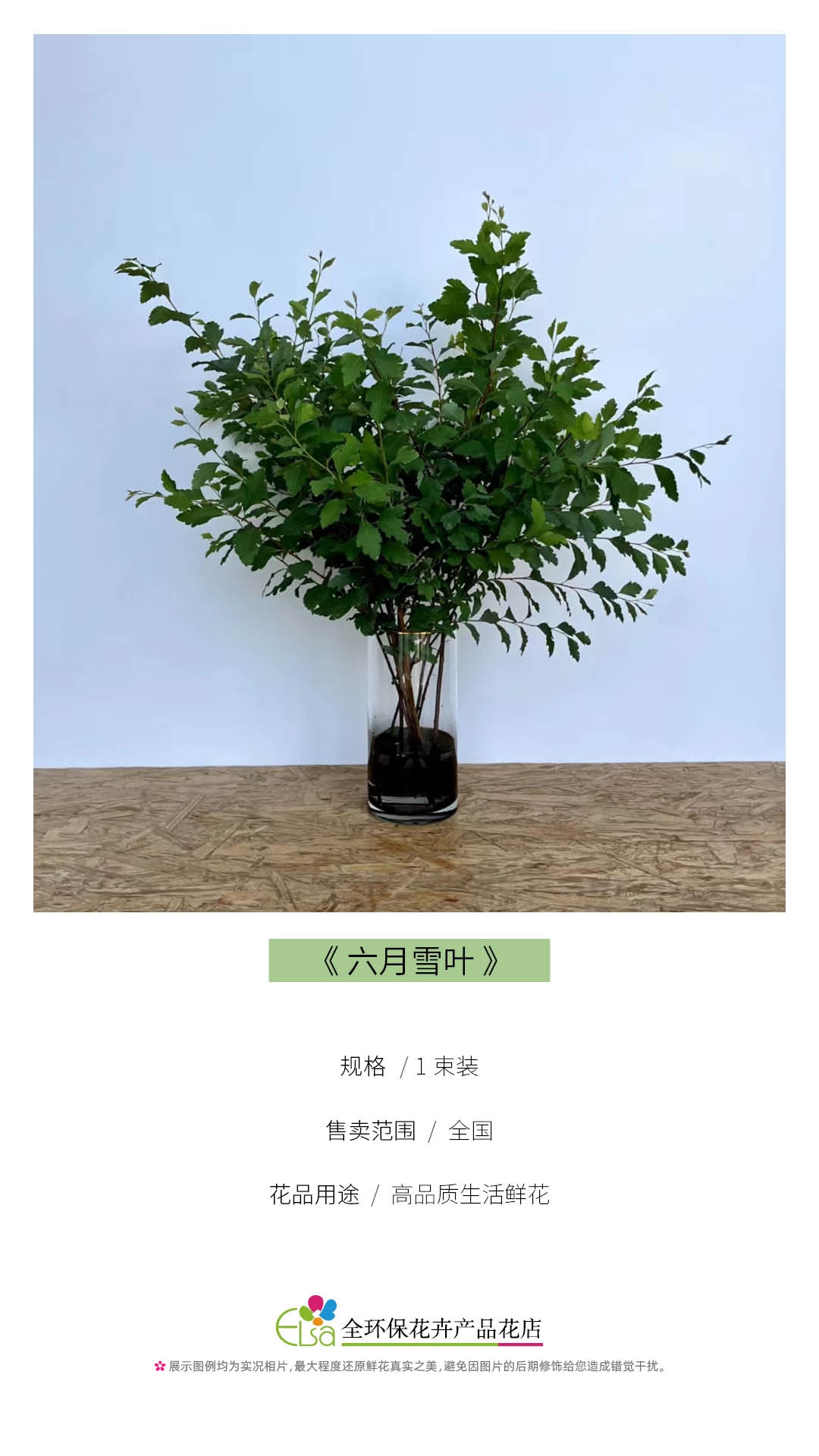云南产精选六月雪叶今日售价79元每束,花园宝贝售价67元每束,欢迎您