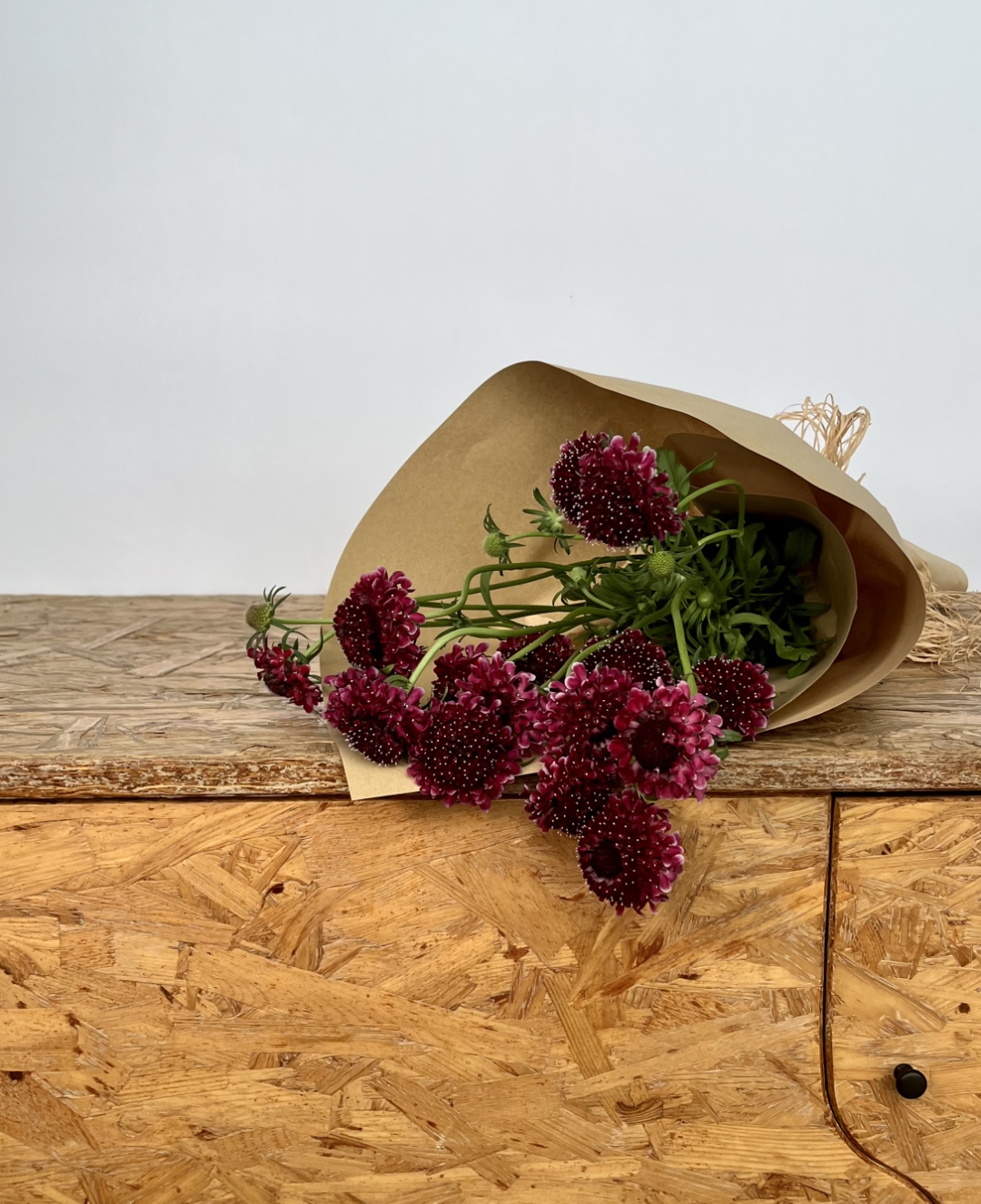 [心]拥有一束鲜花的美好生活[亲亲] 松虫草红色今日售价81元每束,欢迎