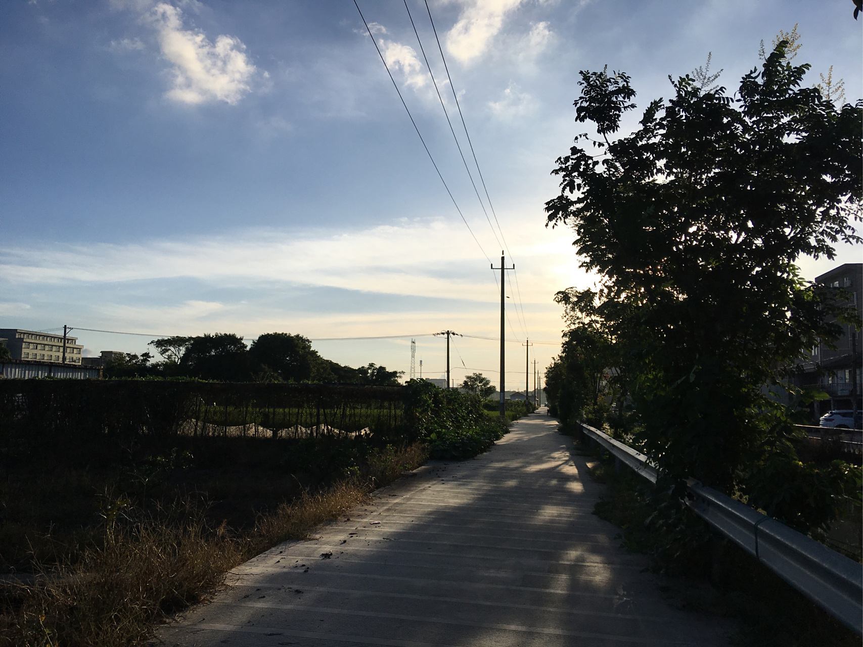 夕阳黄昏,农村的风景.