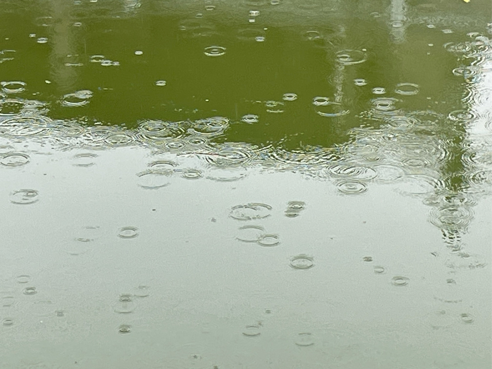 雨后的小河图片