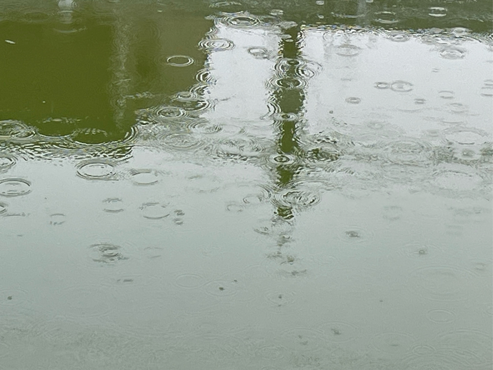 雨后的小河图片