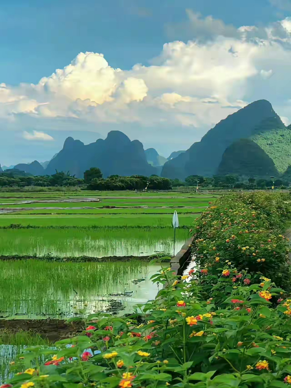 看绿水青山,多美丽!