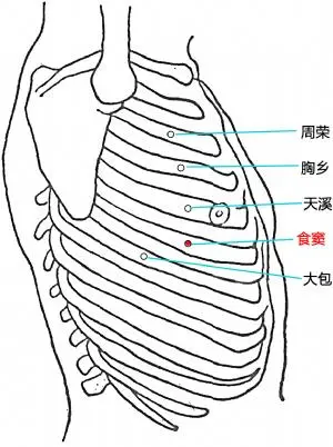 食窦的准确位置图作用图片