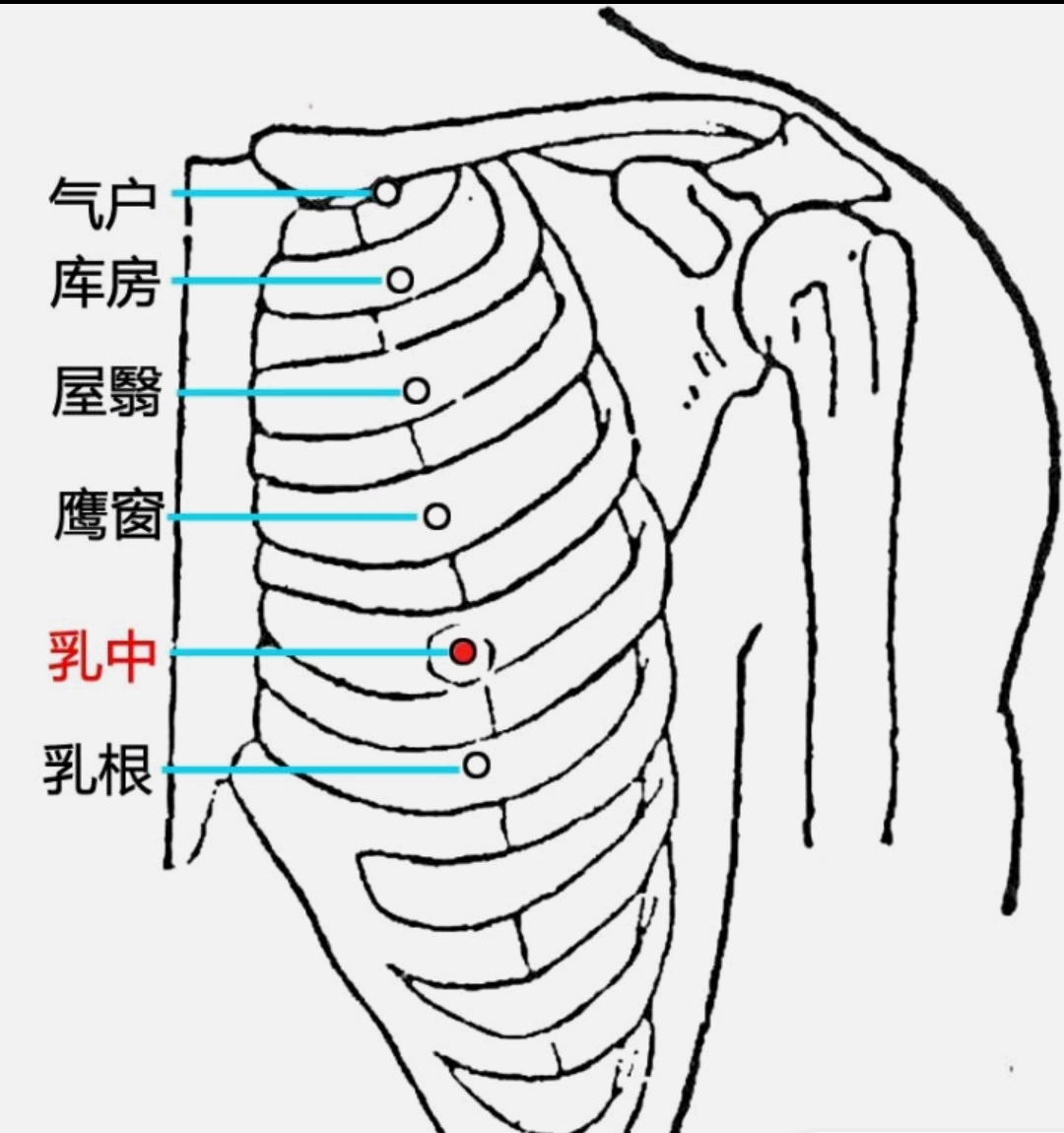 乳中穴(建议刮完胃经后悬灸 属于足阳明胃经 在胸