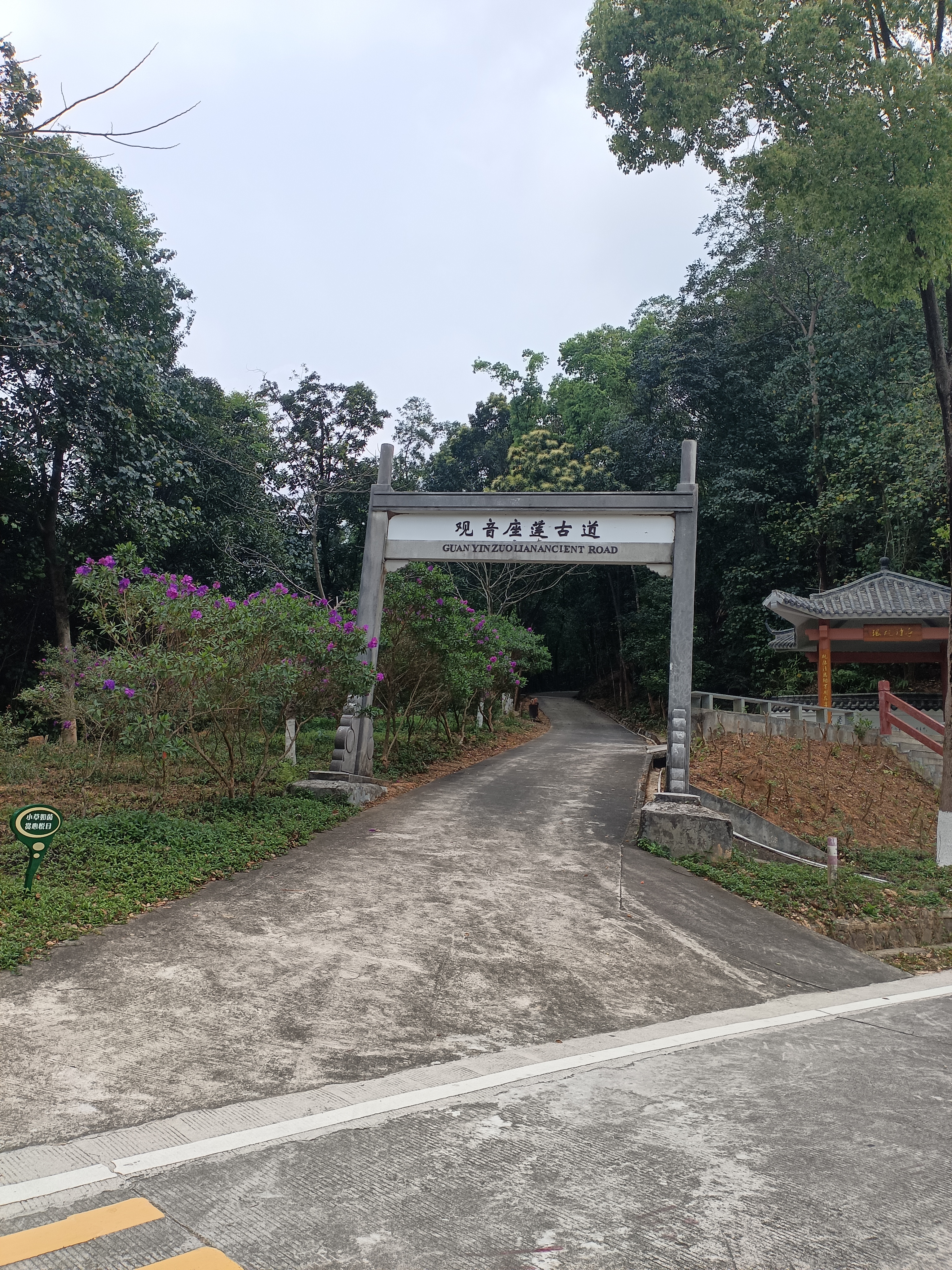 旅行种草指南 东莞谢岗镇的银瓶山森林公园