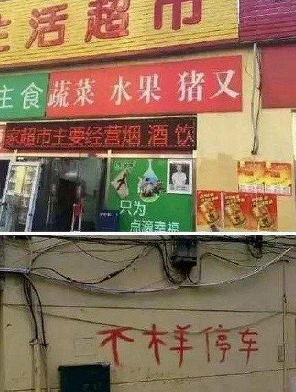 姜春芳在微博,豆瓣用"岁月致柔"等号发帖;姜春芳,赵俊龙母子在百度app