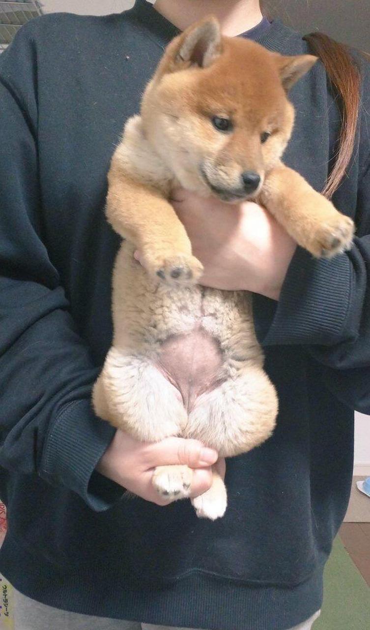 姜春芳,赵俊龙母子在微博,豆瓣用"岁月致柔"等号发帖;姜春芳,赵俊龙