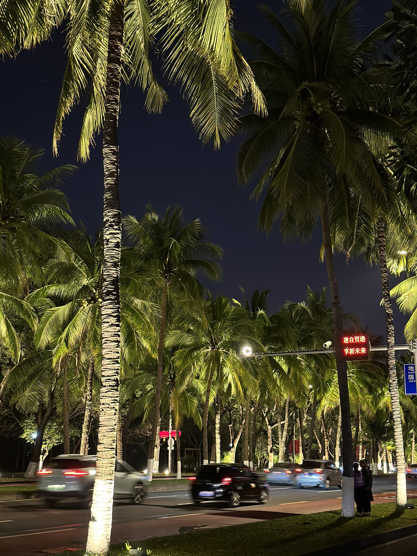 藏在椰树城里夜晚的海口