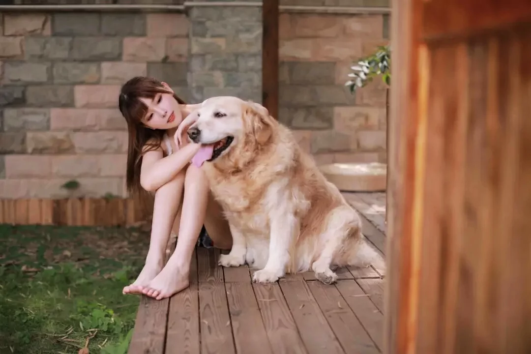 你见过长腿美女和狗狗在一起玩耍吗?