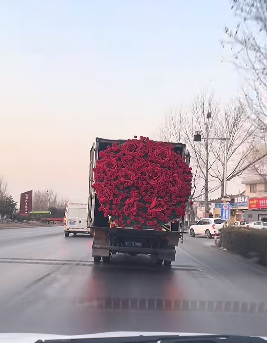 欢迎一小小卡车的玫瑰花