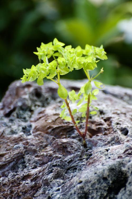 就算一人能抗下所有风浪,我还是想有你陪伴.#情感