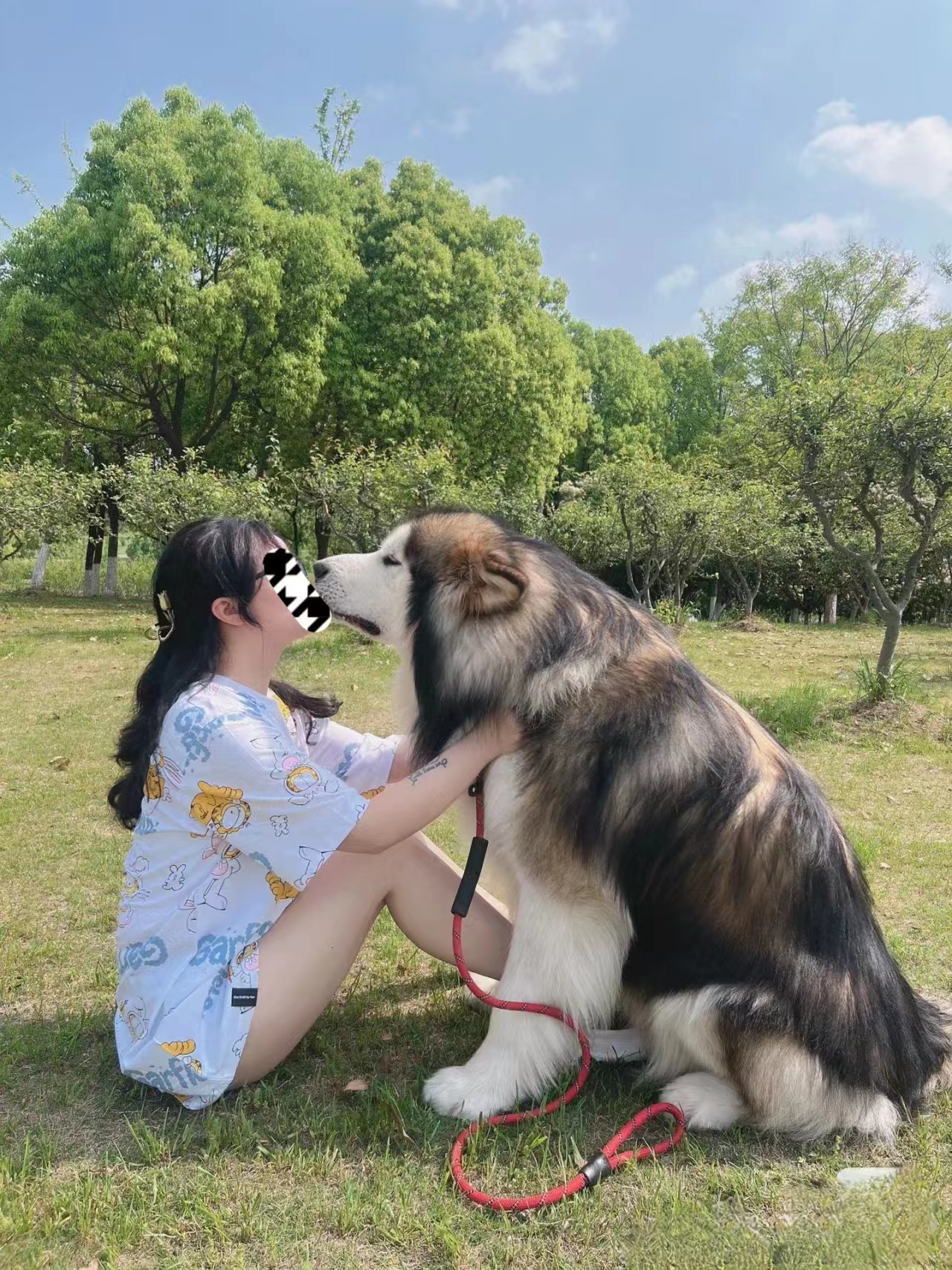 妈妈和猛犬阿拉斯加图片