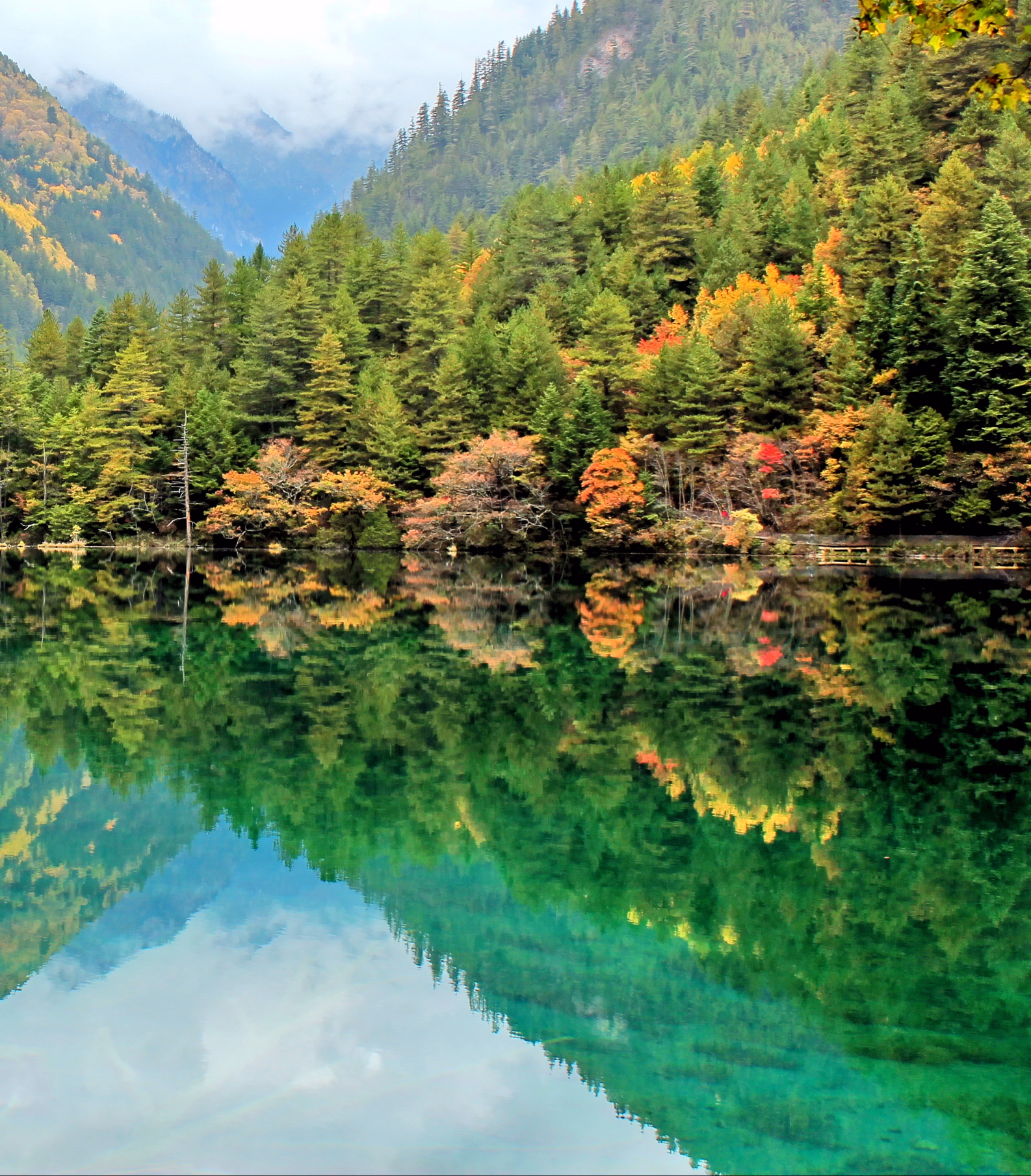 蓝绿色的湖水,与翠绿树木交织成一幅动人的画卷.