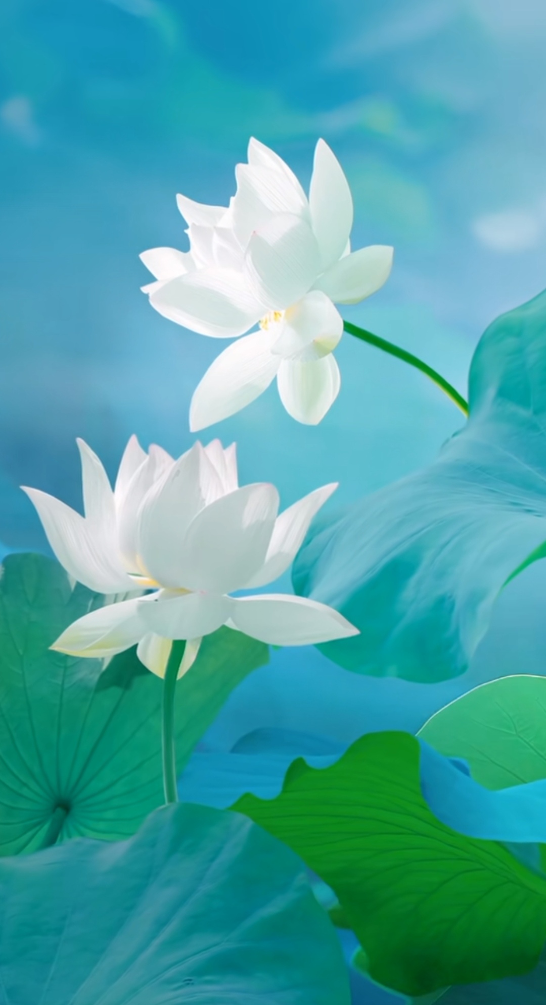 背景中,模糊的绿