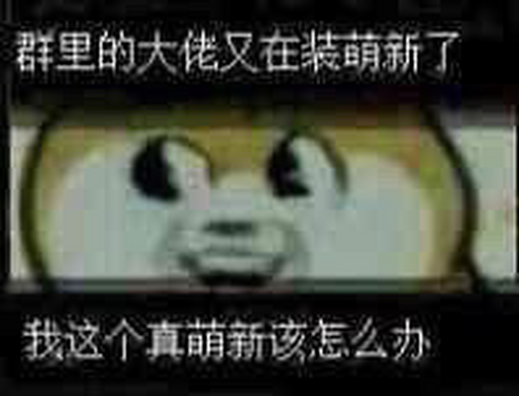 大佬装萌新怎么办?真萌新咋办呐?