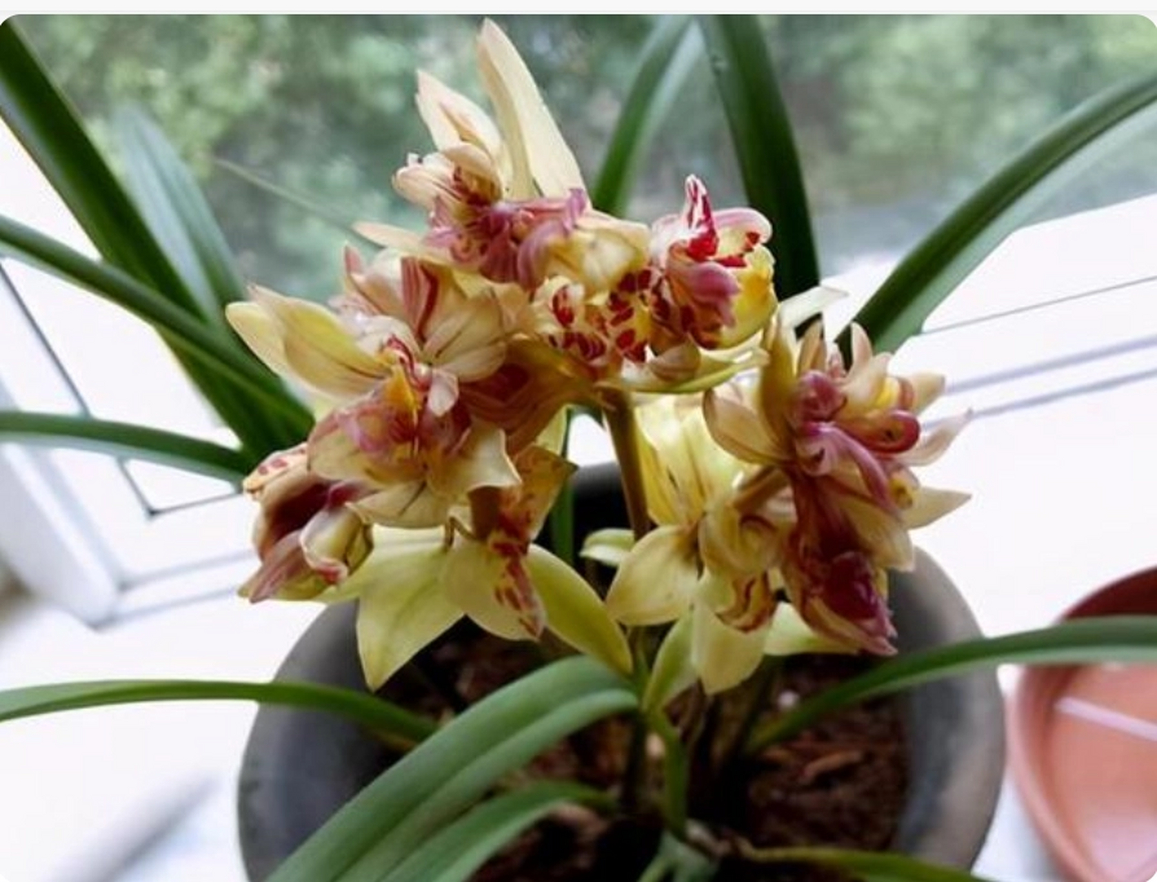 01  读过一段话:  人之所以活得累,不过是背负的