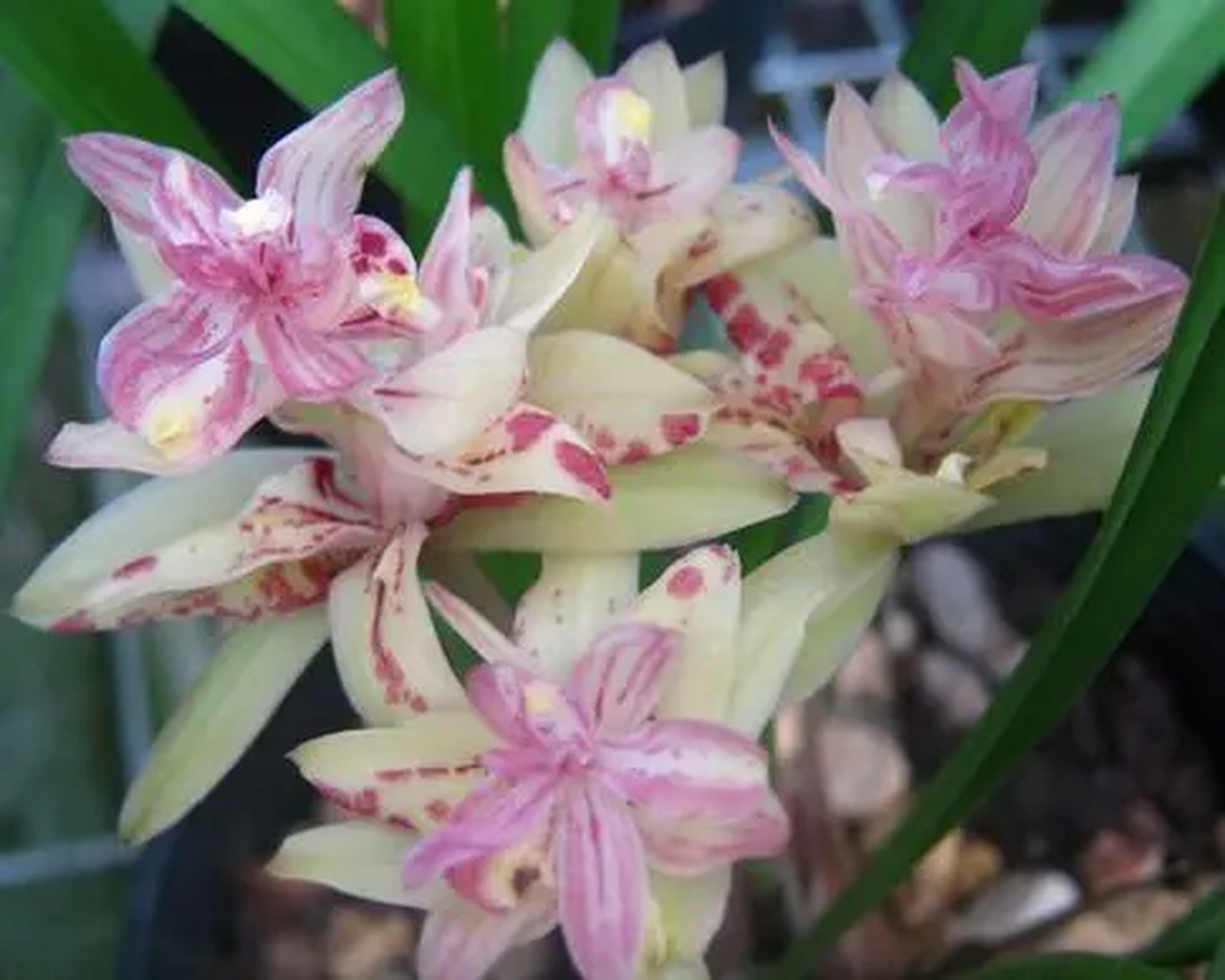 01  读过一段话:  人之所以活得累,不过是背负的