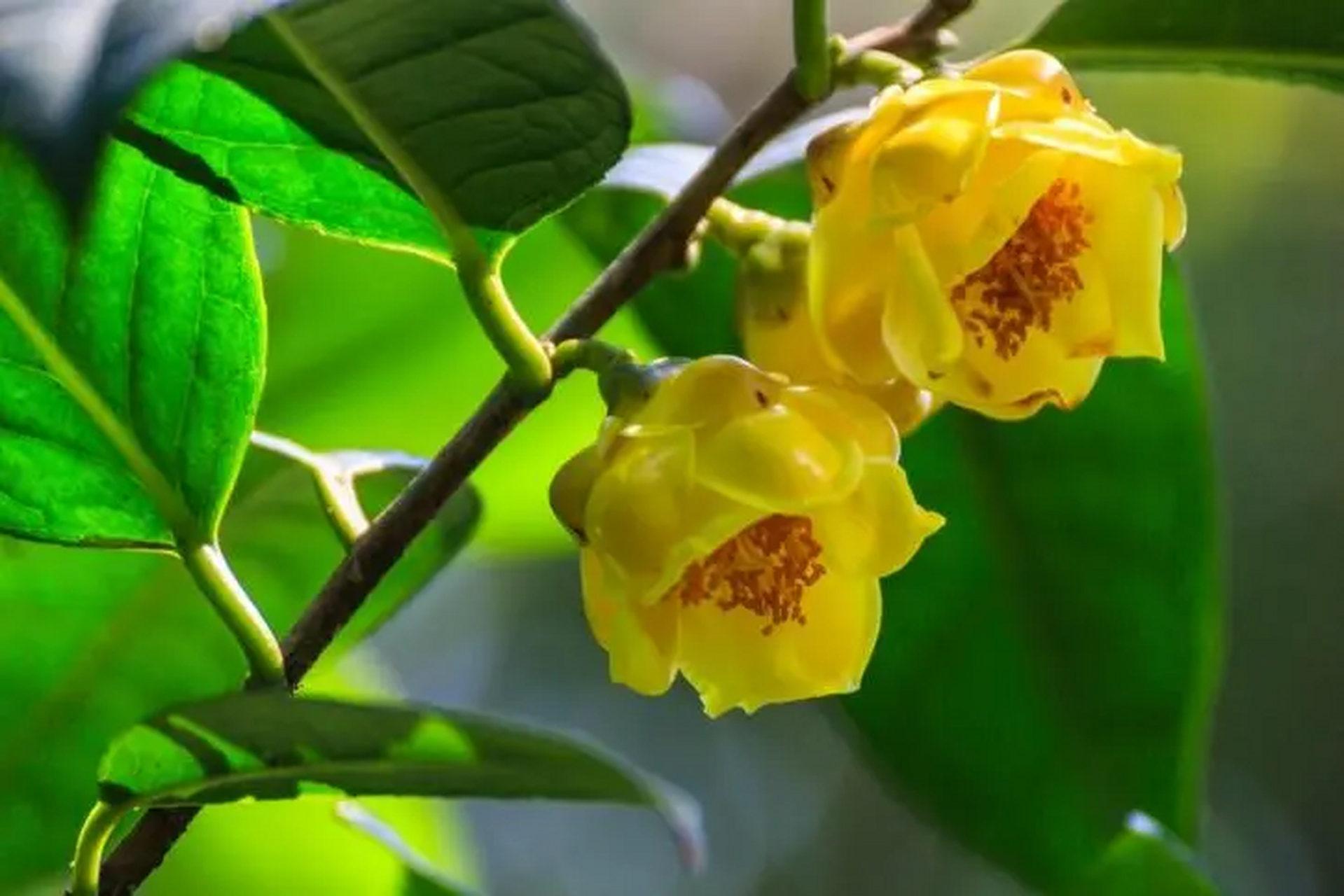 特别是不要拿健康换钱,  因为健康可以赚钱,  但是钱买不来健康.