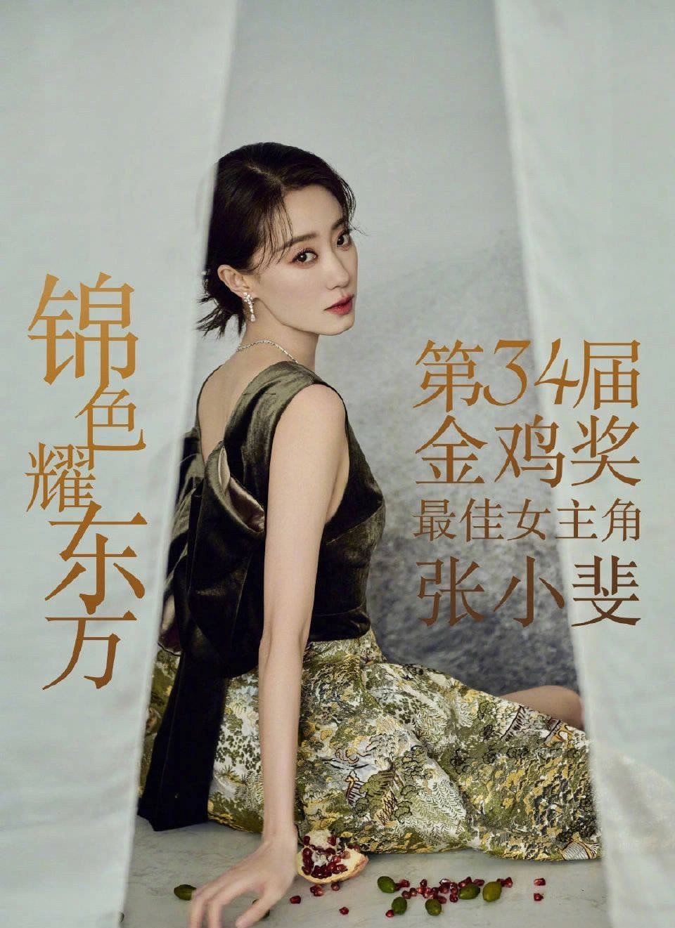 金鸡奖最佳女主角!霸气!