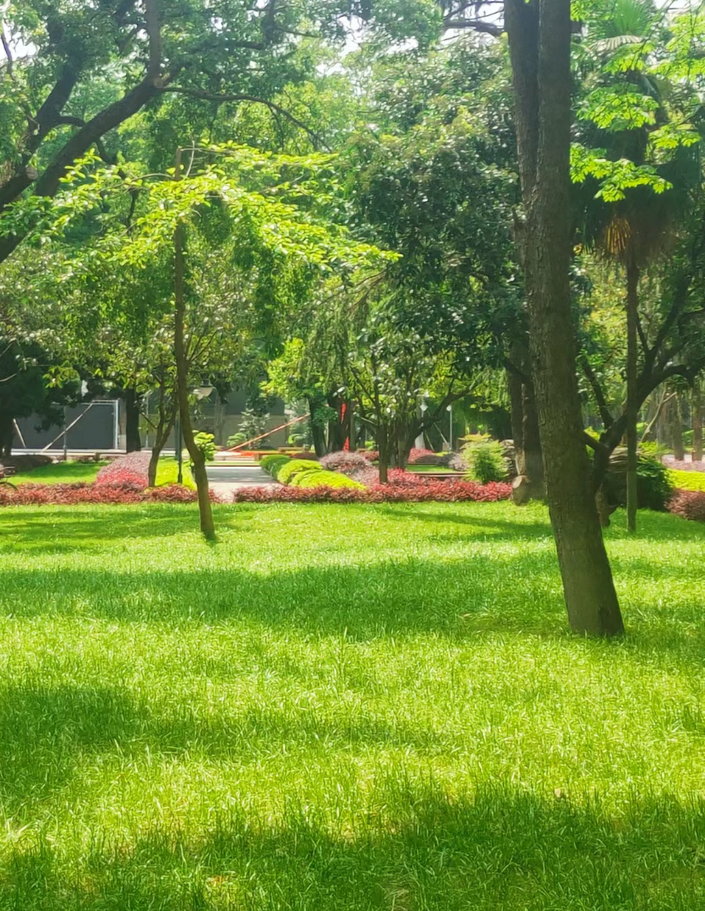 华东理工大学(华东理工大学研究生院)