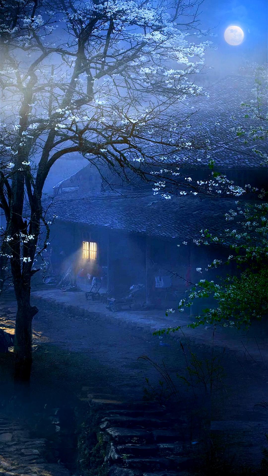 93梦幻月夜下的秘密花园,仿佛走进童话世界!