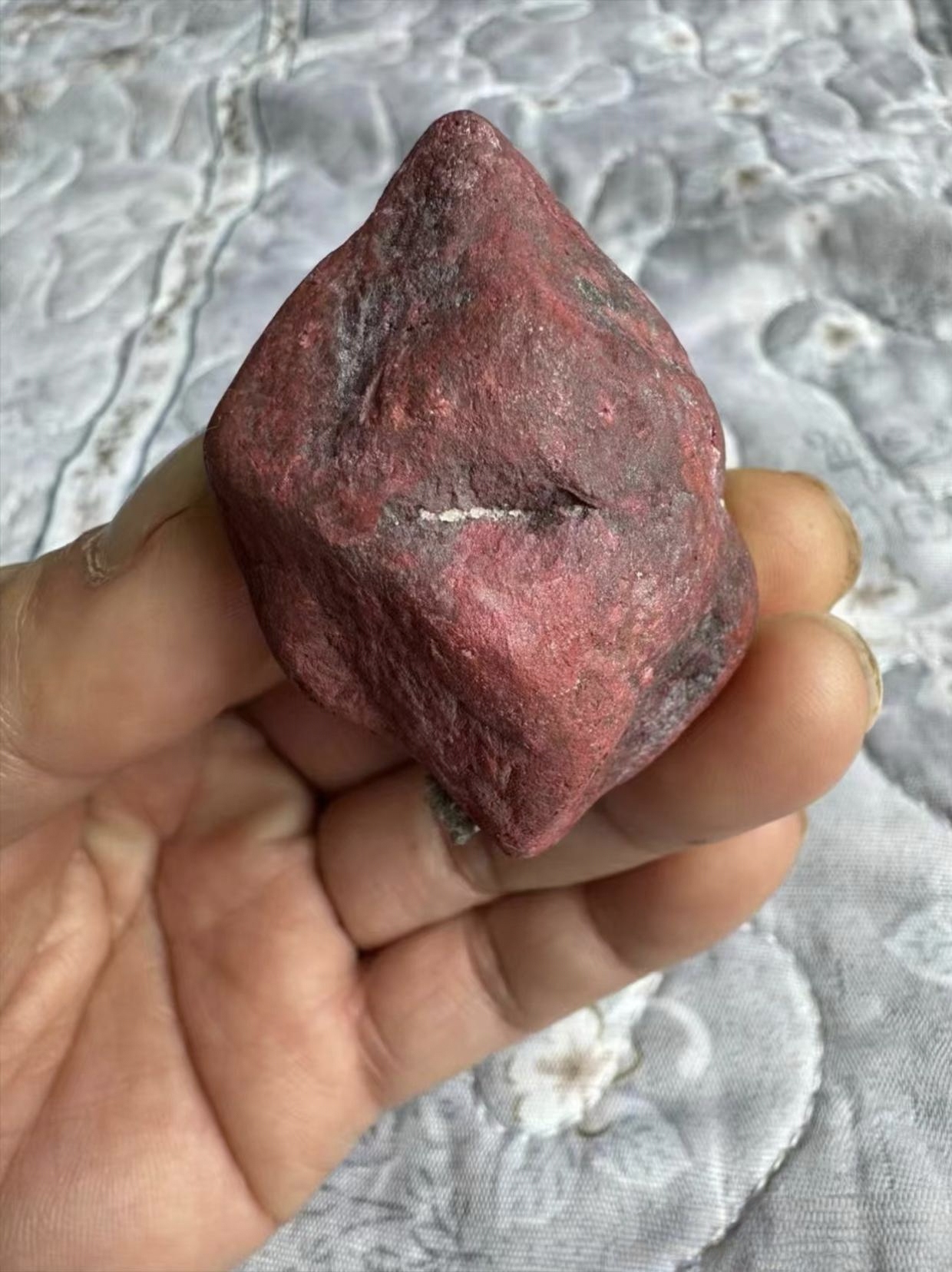 今日看到老丈人不知从何处弄来一块石头,红彤彤的,感觉就像血红色一般