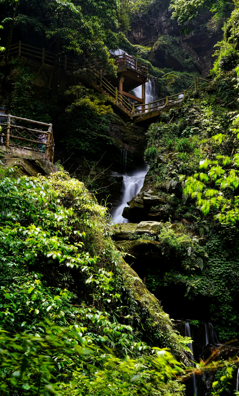雅安碧峰峡风光