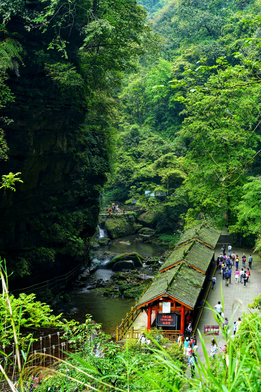 雅安碧峰峡风光