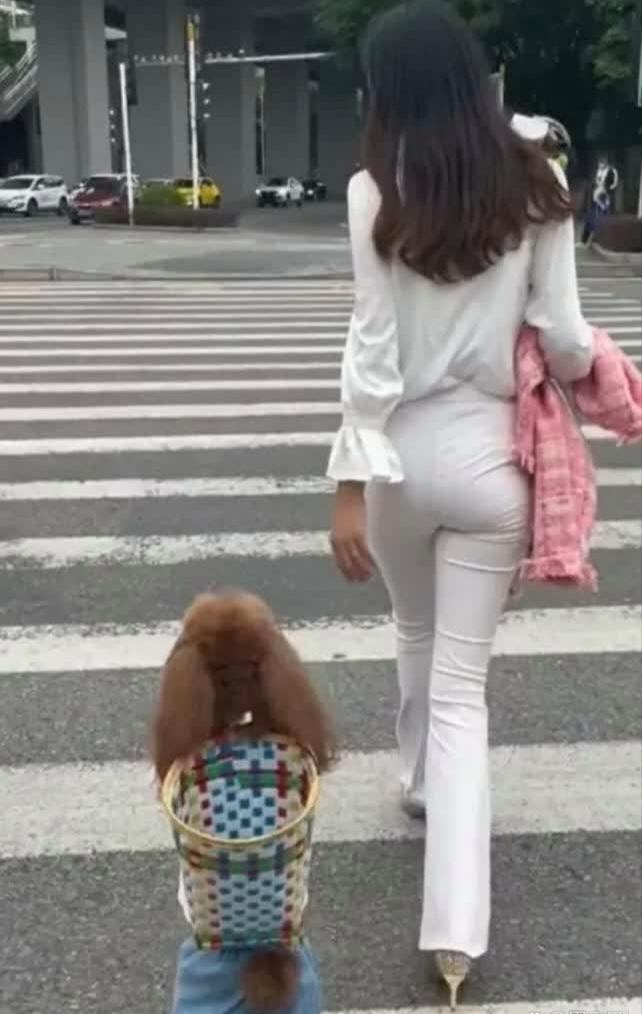 一位时尚小姐姐右手拎着一件粉嫩嫩的衣服,但更吸引人的,是那只可爱的