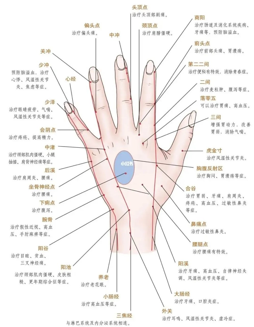 1太阳穴:太阳穴位于眉毛与鬓角之间,按摩太阳穴可以缓解头痛,眼疲劳