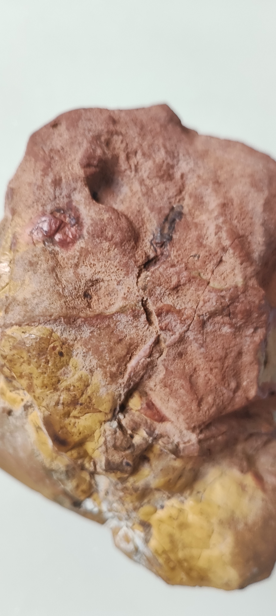 寿山石之鸽眼砂.这是干货.合