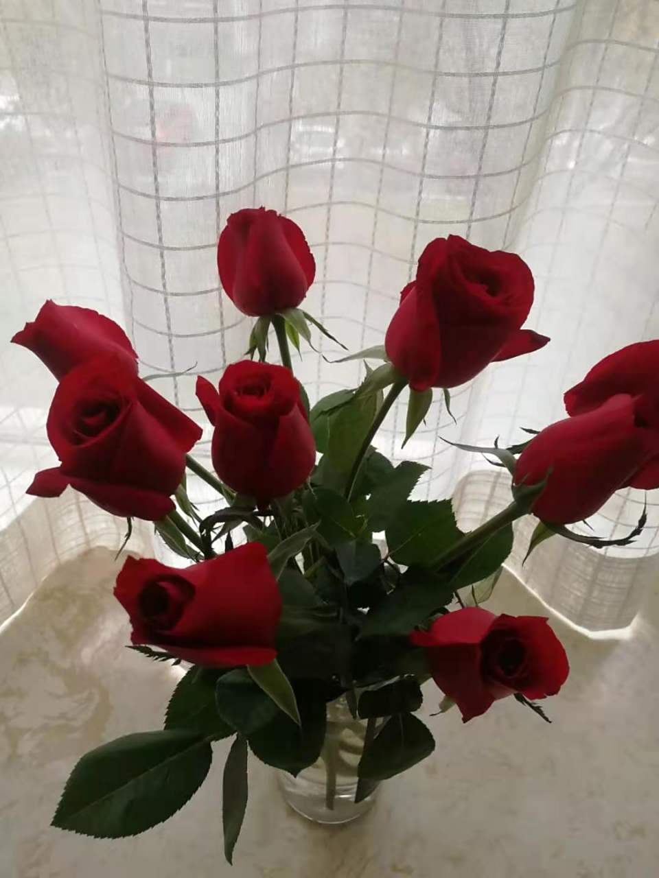 花各自都有着不同的象征魅力29朵表示长相守坚定9朵玫瑰寓意长久玫瑰