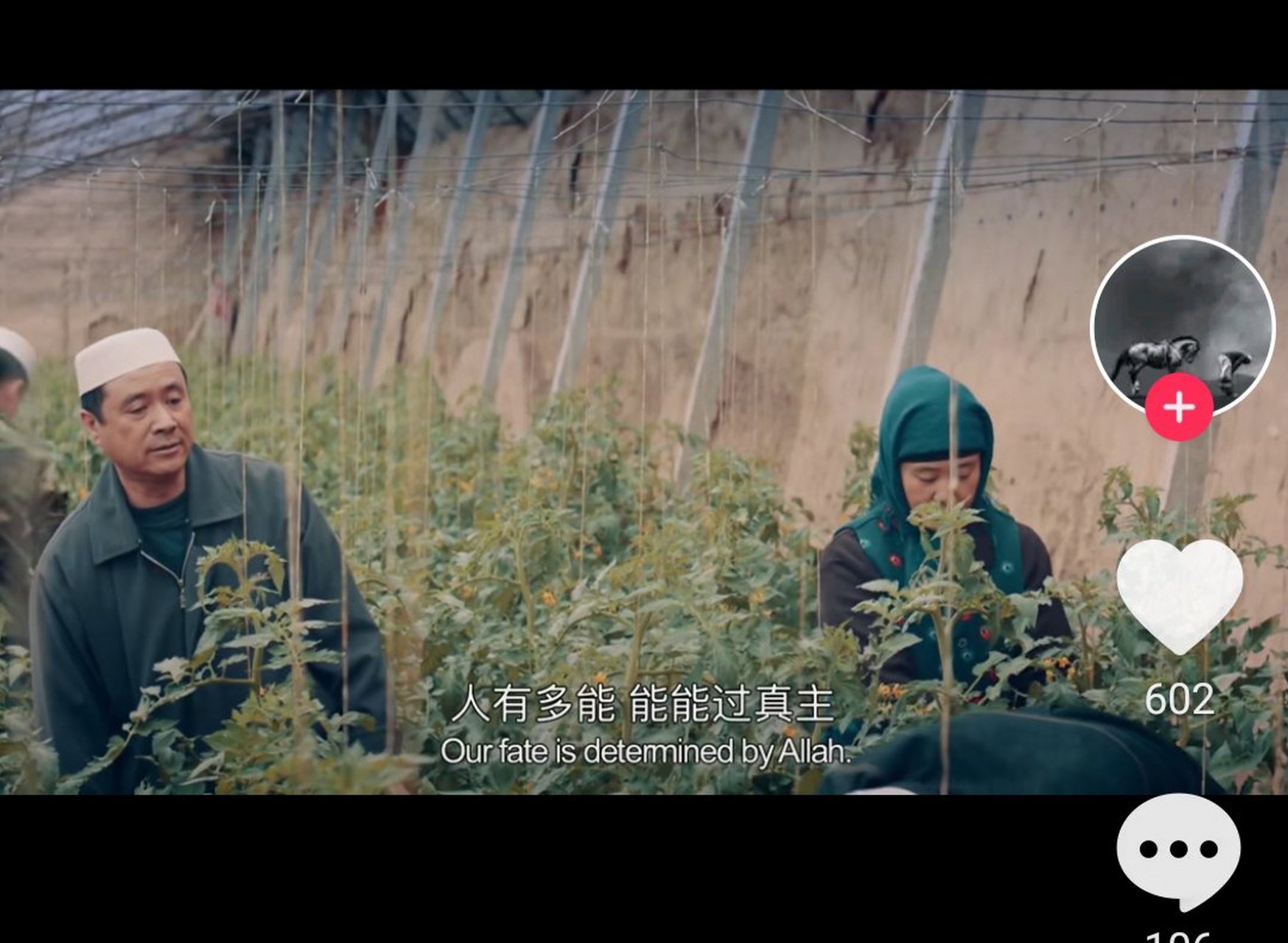 回族电影《红花绿叶》朴素,真实,真的好看