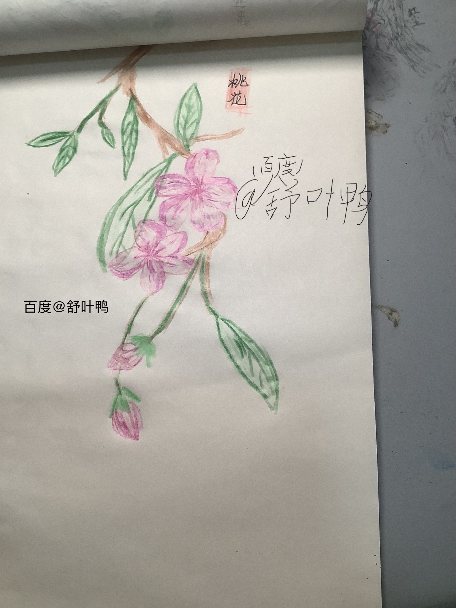 挑战100幅彩铅画