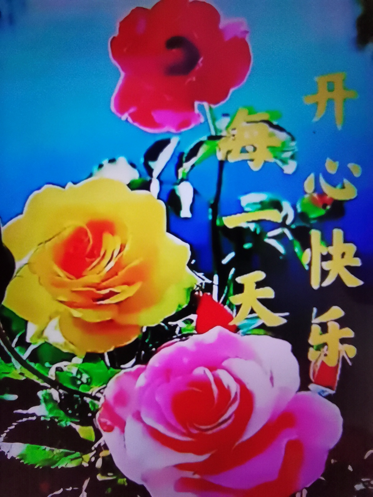 快乐心情送给你,开心快乐每一天:1丶人活着就要有个好心情,调整好心态