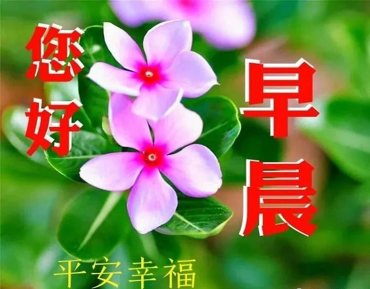百度朋友,大家早上好! 清风揽明月,祝福悄悄走.