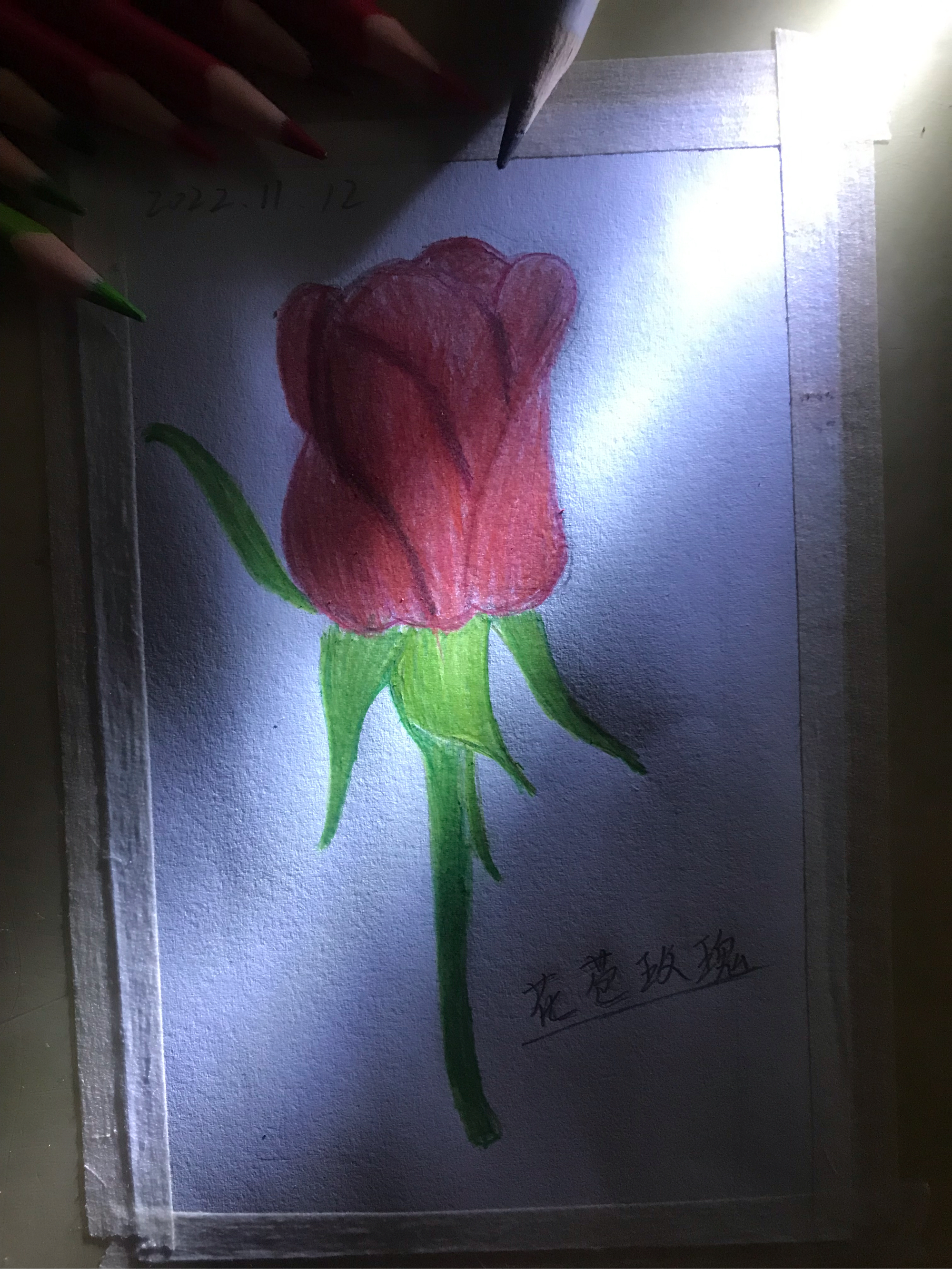 彩铅花苞图片