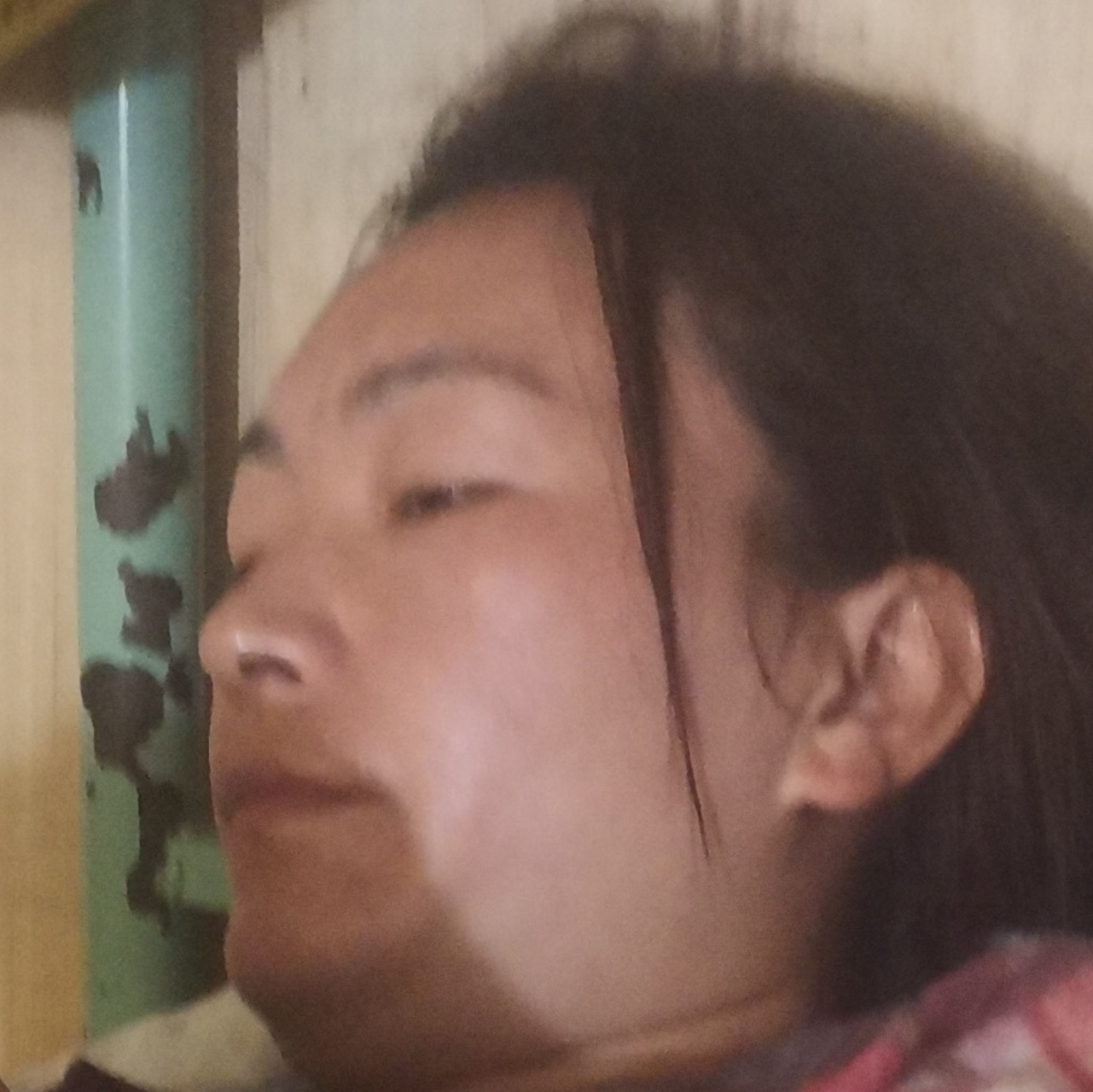 张灵芝  世界上体型最大的北美狮子 年龄已达360岁 体重300多斤