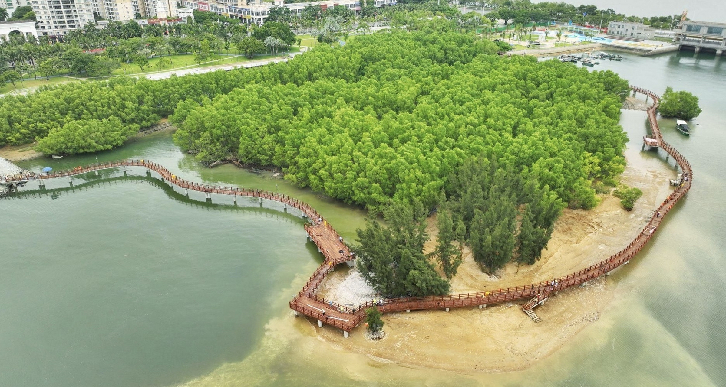 我爱湛江红树林#  金沙湾红树林科普基地打卡