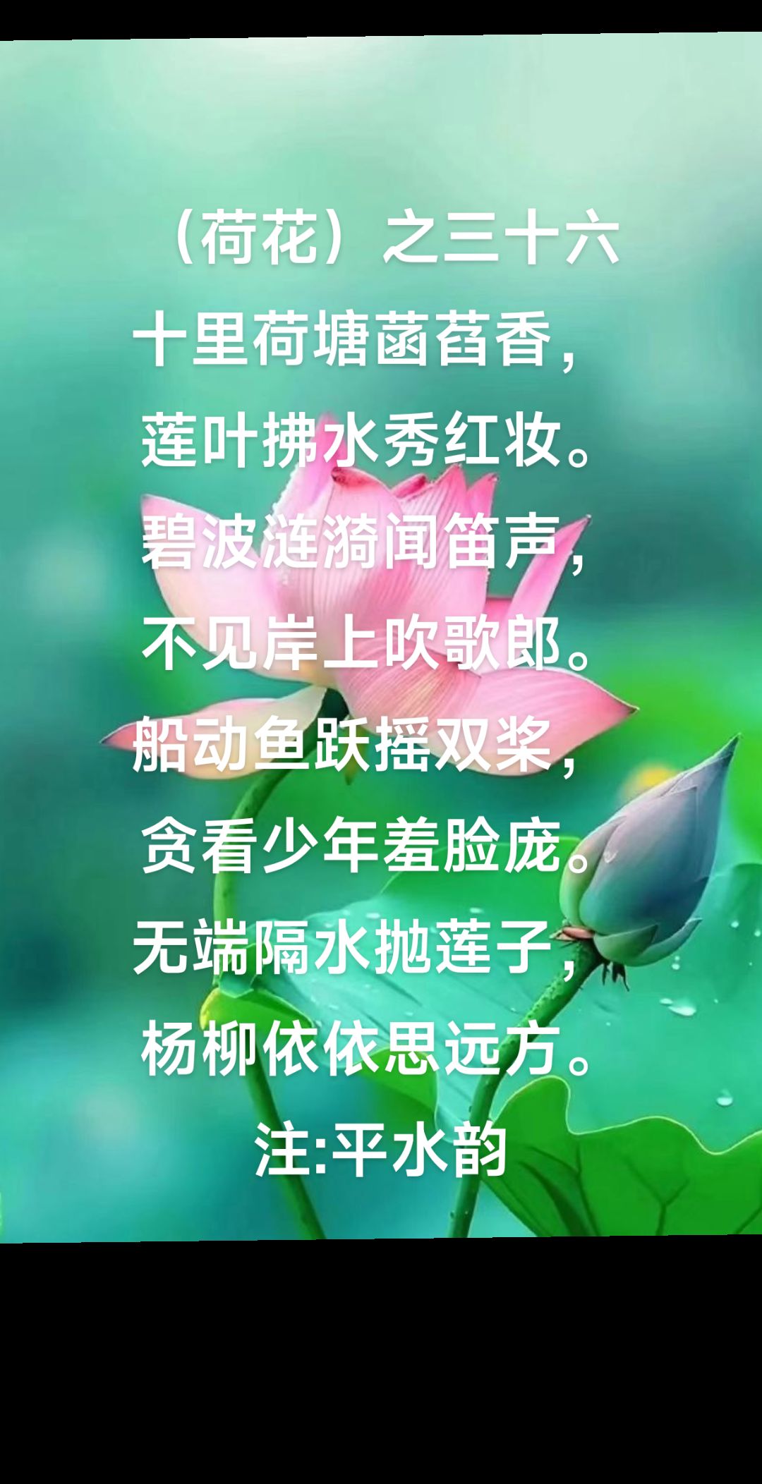 (荷花)之三十六 十里荷塘菡萏香,  莲叶拂水秀红妆.