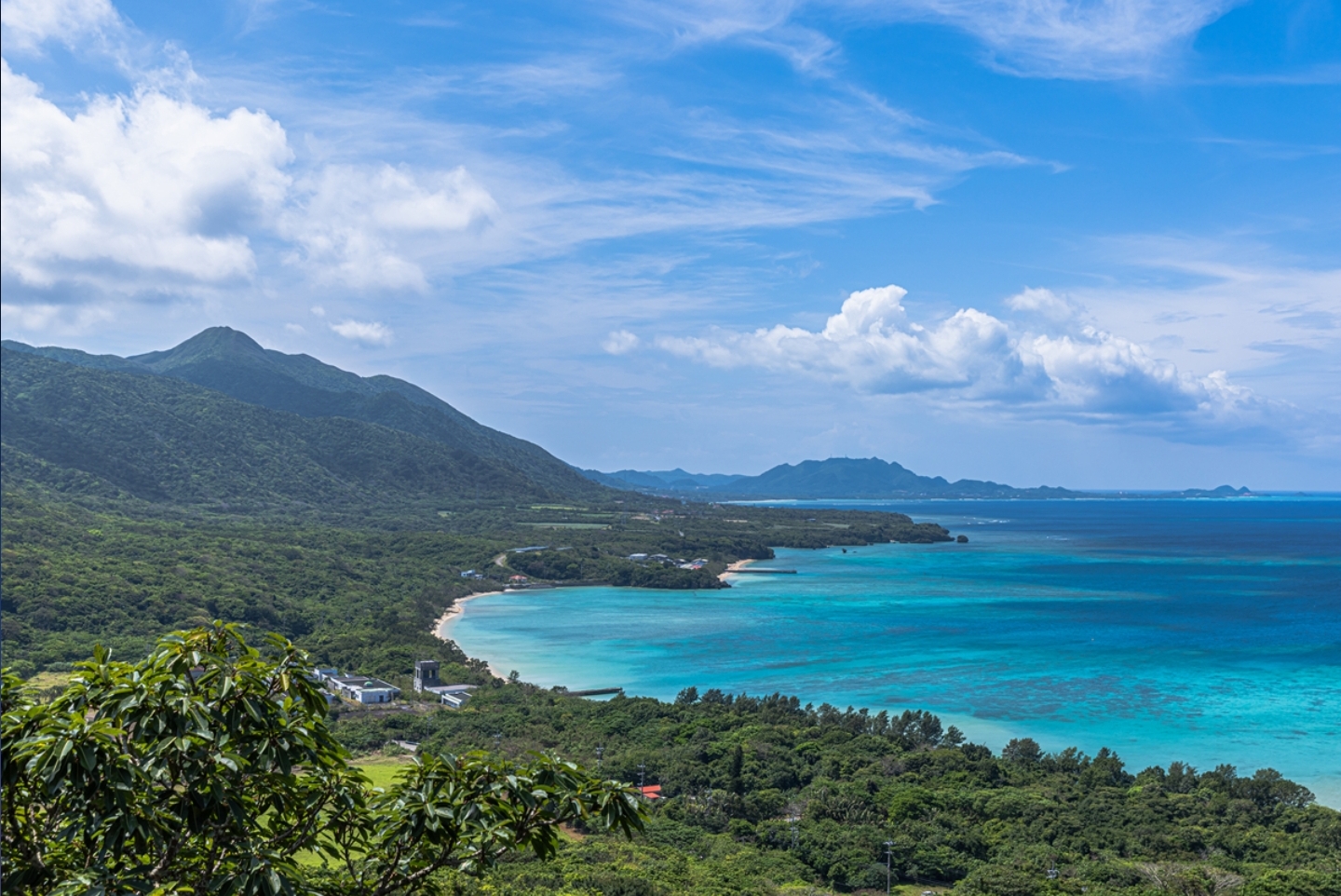 长寿密码,藏在海南的山海之间