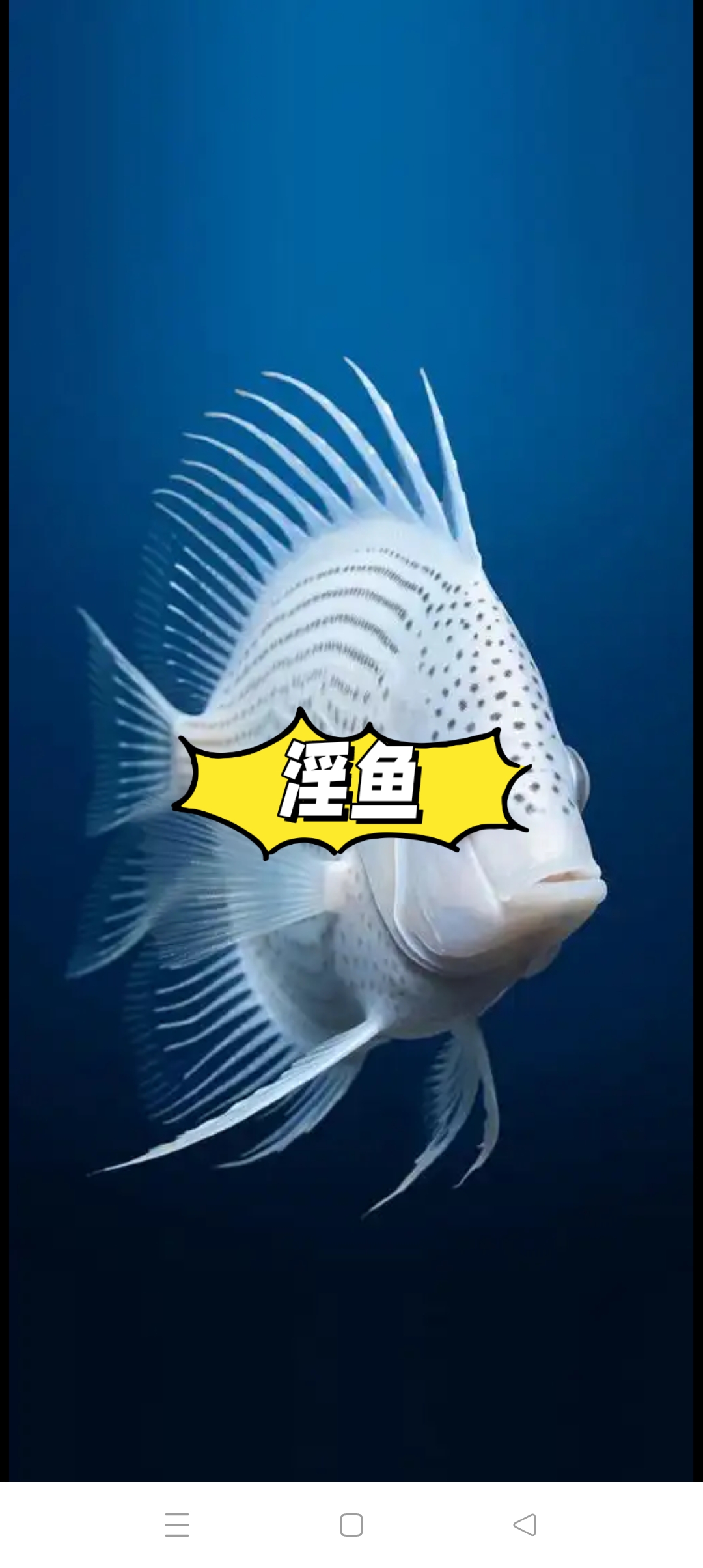 村里的妇女们经常来河边洗衣服.有时候议论纷纷,张长李短