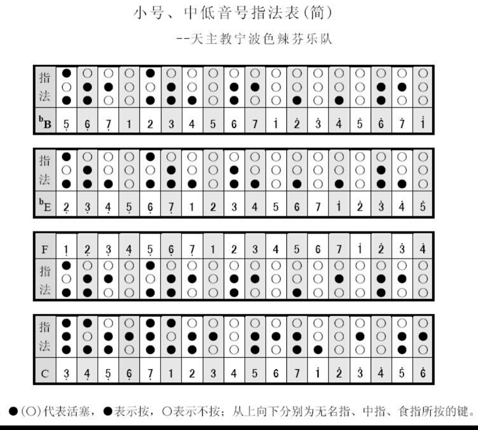 小号十二种指法表图片